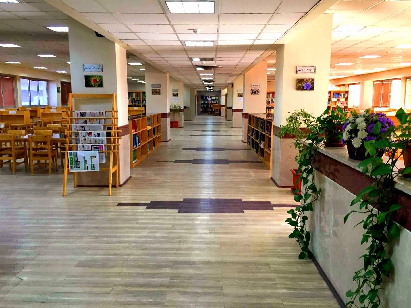 فضای کتابخانه